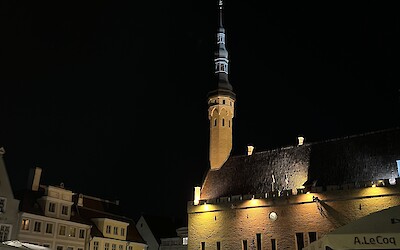 (submitted by Deborah Ryan)