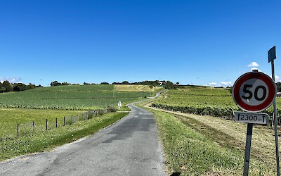 (submitted by Richard Olson)