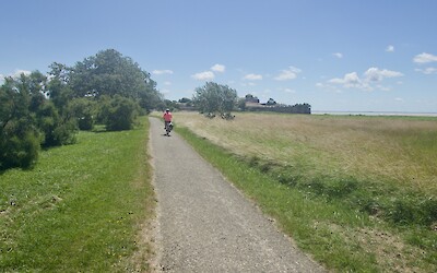 (submitted by Richard Olson)