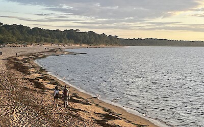 (submitted by Richard Olson)