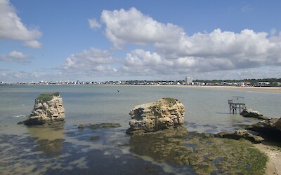 (submitted by Richard Olson)