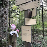 My Little Pony guards Franco-Swiss border (photo by Andrew Cooke)