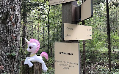 My Little Pony guards Franco-Swiss border (submitted by Andrew Cooke)