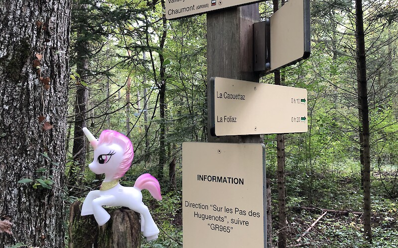 My Little Pony guards Franco-Swiss border (submitted by Andrew Cooke)