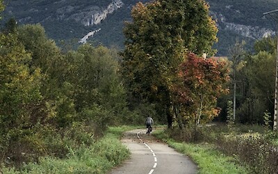 (submitted by Andrew Cooke)