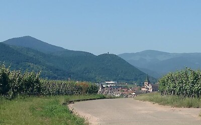 Photo 3 (submitted by Heather)