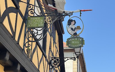 Another stork (submitted by Greg C.)