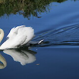  (photo by Denise)
