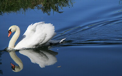 (submitted by Denise)