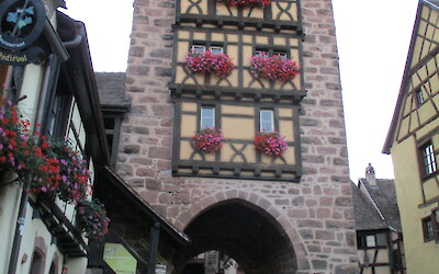 (submitted by Denise)