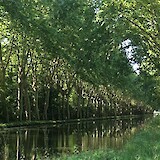 Rhine-Rhone Canal (photo by Dennis)