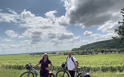 (submitted by Albuquerque, M)