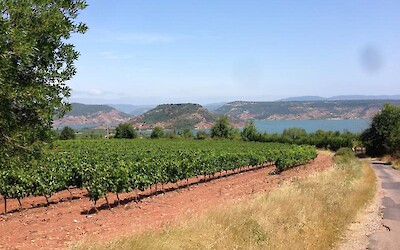 A sample of the amazing scenery. (submitted by Go Legs Go)