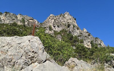 Photo 1 (submitted by Jessicarae)