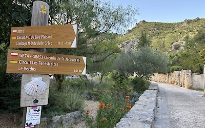 I didn't mean to include these last two! (submitted by Anne Stanek)