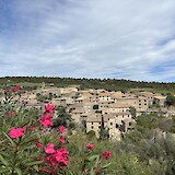 Minerve (photo by Anne Stanek)