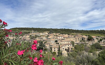 Minerve (submitted by Anne Stanek)