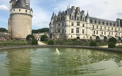 Photo 4 (submitted by Arti)