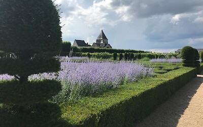 Photo 5 (submitted by Arti)