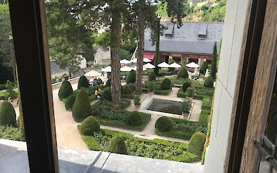 Photo 6 (submitted by Arti)