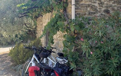 Photo 1 (submitted by Erin ELE)