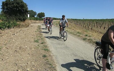 Photo 1 (submitted by tsn3808)