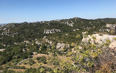 Photo 4 (submitted by tsn3808)