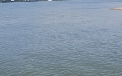 (submitted by Thomas Murphy)