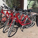 Our bikes! (photo by TinaM)