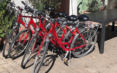 Our bikes! (submitted by TinaM)