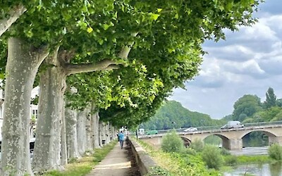 Chinon along the river. (submitted by mrank)
