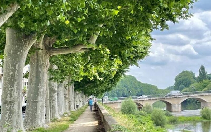 Chinon along the river. (submitted by mrank)