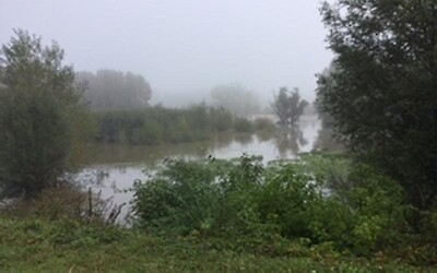 Early morning along the Loire (submitted by Susan B)