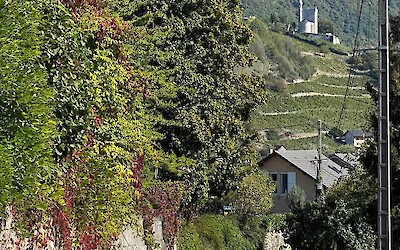 Beautiful scenery (submitted by Tonja clark)