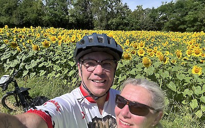 Sunflowers in July in Vions (submitted by Kelly Seither)