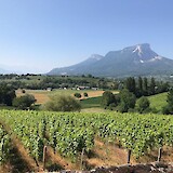 Savoie wine country scenery - cycling day 3 (photo by KellyS)