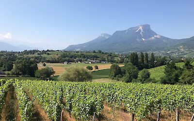 Savoie wine country scenery - cycling day 3 (submitted by KellyS)