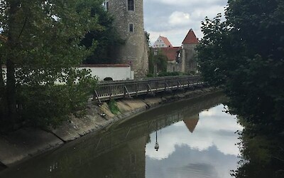 Photo 3 (submitted by AnneD)