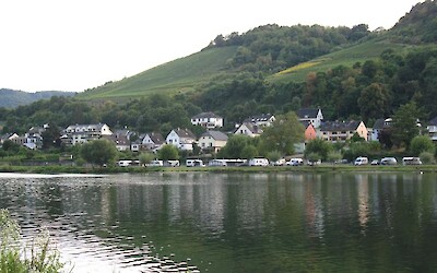 Photo 1 (submitted by Anna)