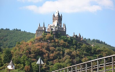 Photo 2 (submitted by Anna)