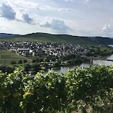View from Zummethohe, Trittenheim (photo by Jenny P)