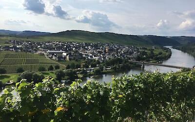 View from Zummethohe, Trittenheim (submitted by Jenny P)