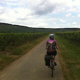 Biking through vineyards on the first day of riding (photo by Jenny P)