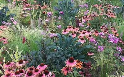 Koblenz (submitted by Jenny P)