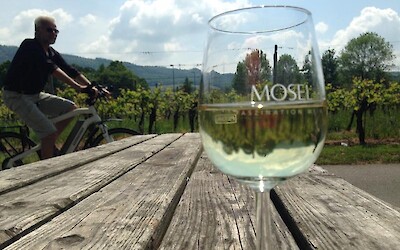 Time to break for a riesling tasting! Nice of them to place picnic tables right alongside the bike path for cyclists to relax. (submitted by Natalie123)