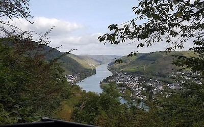 Photo 1 (submitted by BroncoFan)