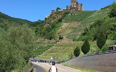 One more castle in the midst of the vineyards. (submitted by Padre)