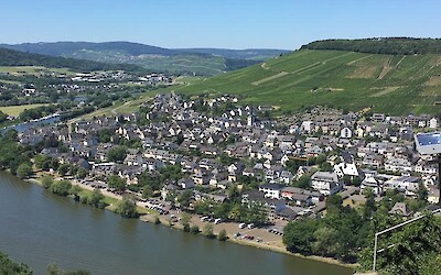 A view from above the Moselle (submitted by Padre)