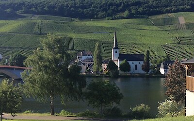 Photo 1 (submitted by Lolacharlie)