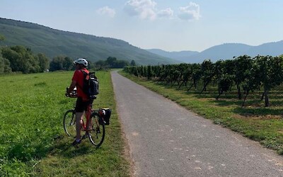 The path and scenery were fantastic. (submitted by 1961flyer)